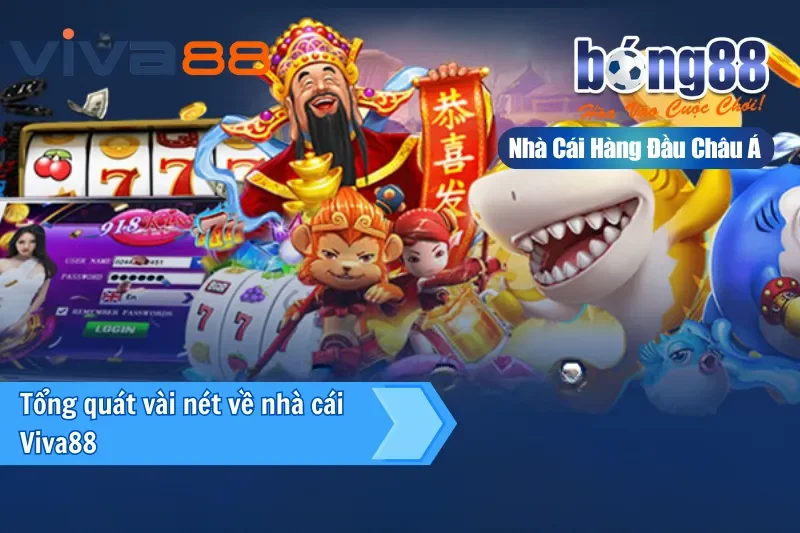 Đôi nét về nhà cái Viva88 - cánh tay phải của Bong88