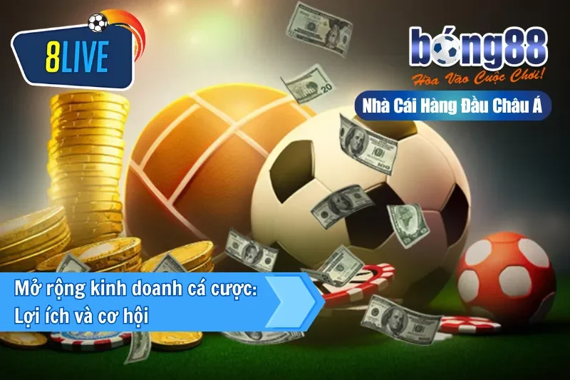 Lợi ích và cơ hội khi mở rộng kinh doanh cá cược